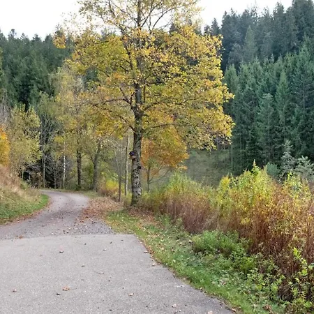 Apartamento On The Edge Of The Forest Kleines Wiesental